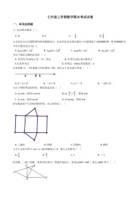 2021年河南省商丘市柘城县七年级上学期数学期末考试试卷含解析答案