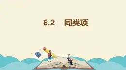 6.2同类项课件PPT