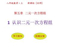 2020-2021学年2 求解二元一次方程组教案配套课件ppt