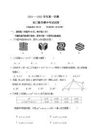 北京市海淀区2021---2022学年九年级上学期期中数学试卷（word版 含答案）