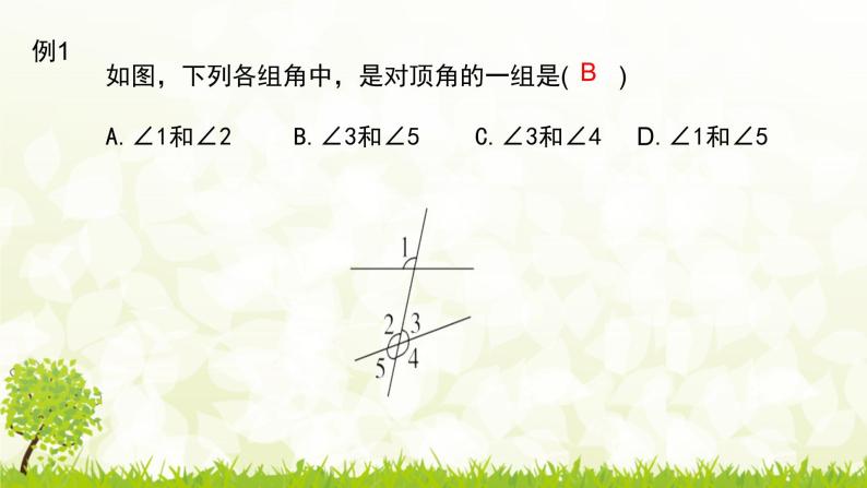 北师大版七年级数学下册 2.3.2  平行线的判定与性质的应用 课件+练习07