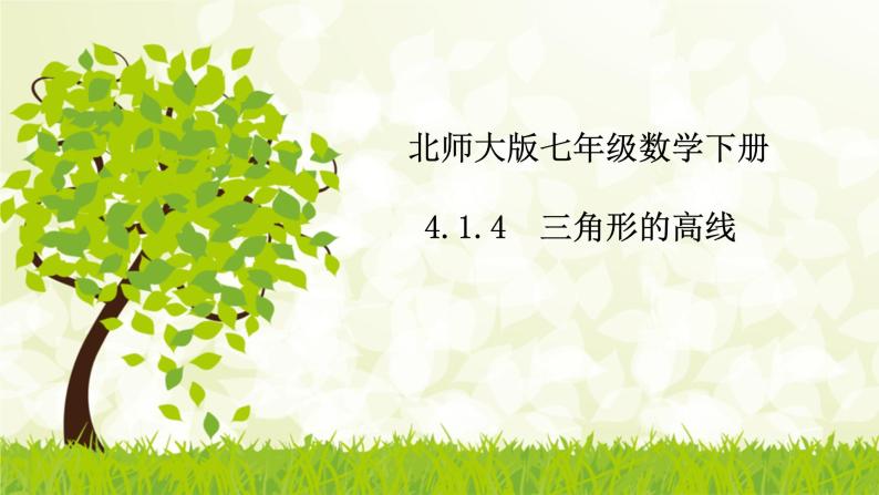 北师大版七年级数学下册 4.1.4  三角形的高线 课件+练习01