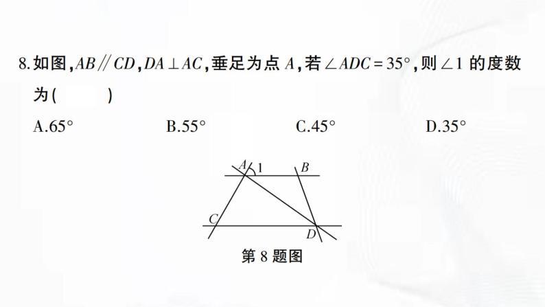 北师版数学七年级下册 第二章 章节检测 课件08