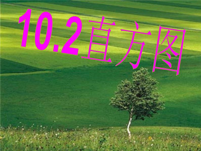 人教版数学七年级下册 10.2 直方图 PPT2 课件第1页