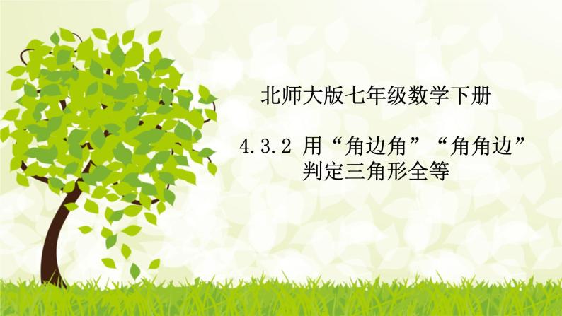 北师大版七年级数学下册 4.3.2   用“角边角”“角角边”判定三角形全等 课件+练习01