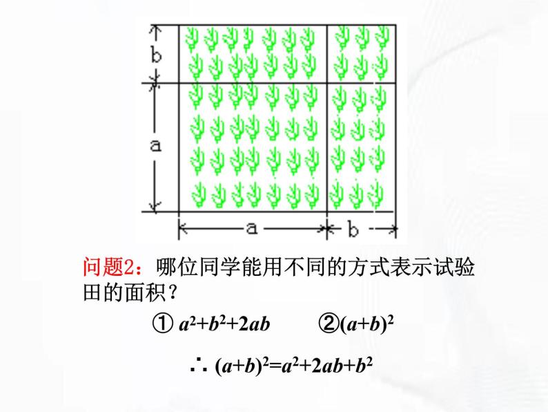 苏科版数学七年级下册 第九章 第四节 乘法公式 第2课时 课件03