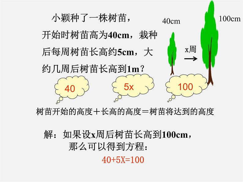 北师大初中数学七上《5.1 认识一元一次方程》PPT课件 (5)第4页