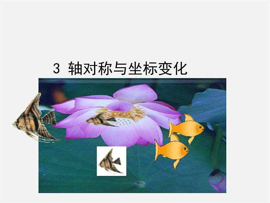 北師大初中數(shù)學八上《3.3軸對稱與坐標變化》PPT課件 (4)第1頁
