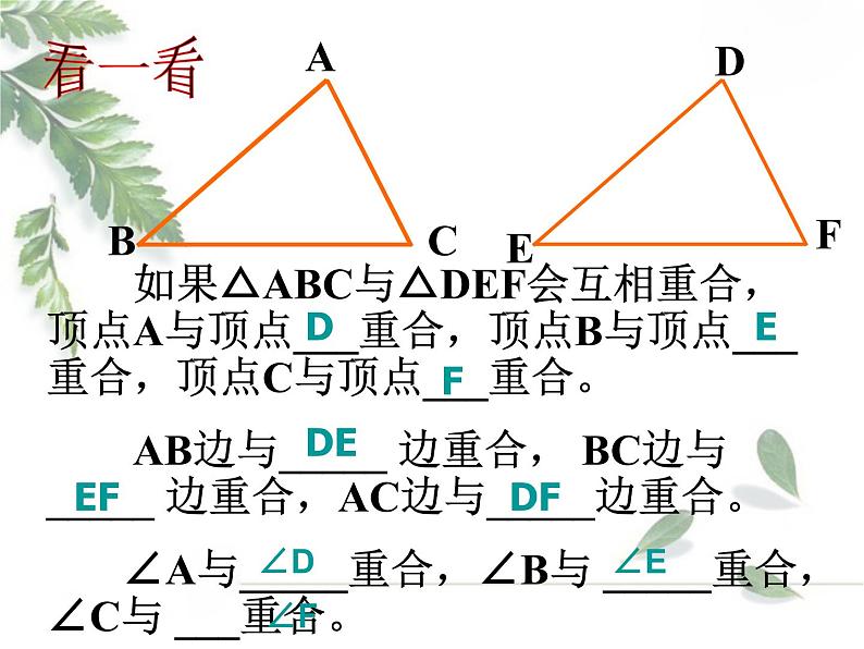 2021-2022学年度北师大版七年级数学下册课件 4.3 全等三角形 2第8页