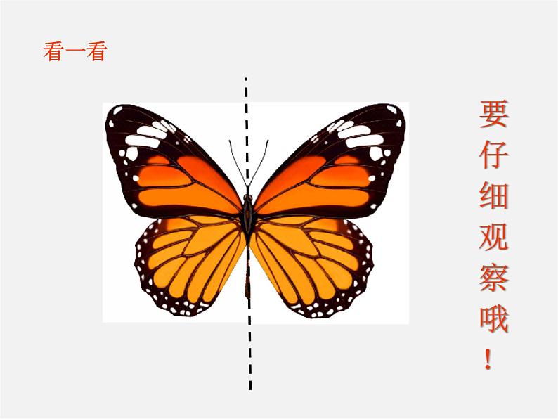 冀教初中数学八上《16.1轴对称》PPT课件 (3)07