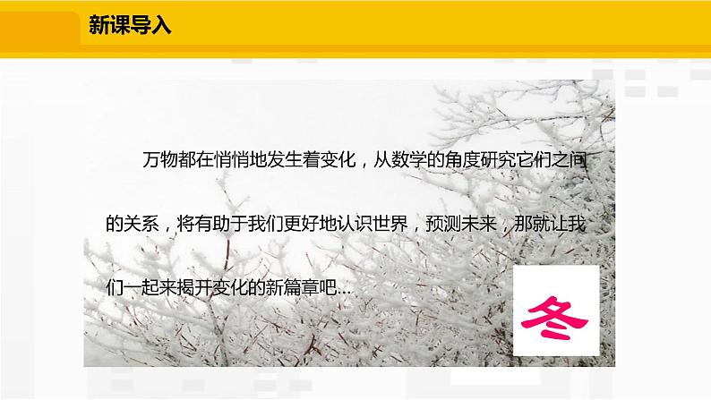 北师大版数学七年级下册课件3.1 用表格表示的变量间关系第3页