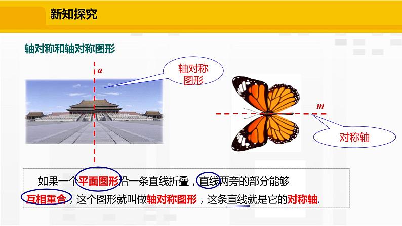 北师大版数学七年级下册课件5.1 轴对称现象第7页