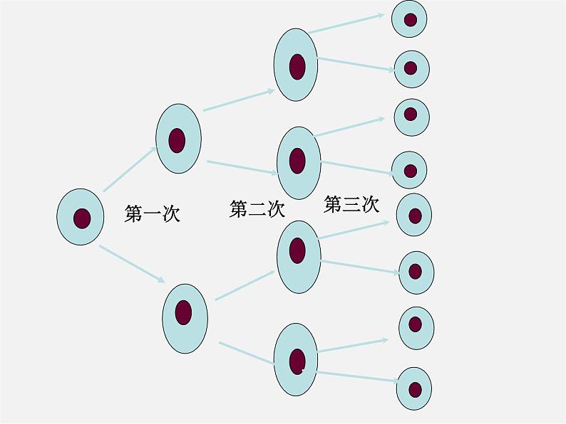 华东师大初中数学七上《2.11有理数的乘方》PPT课件 (3)04