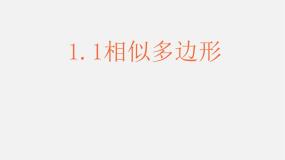 初中数学青岛版九年级上册1.1 相似多边形教课课件ppt