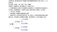 青岛版八年级下册7.8 实数教案设计