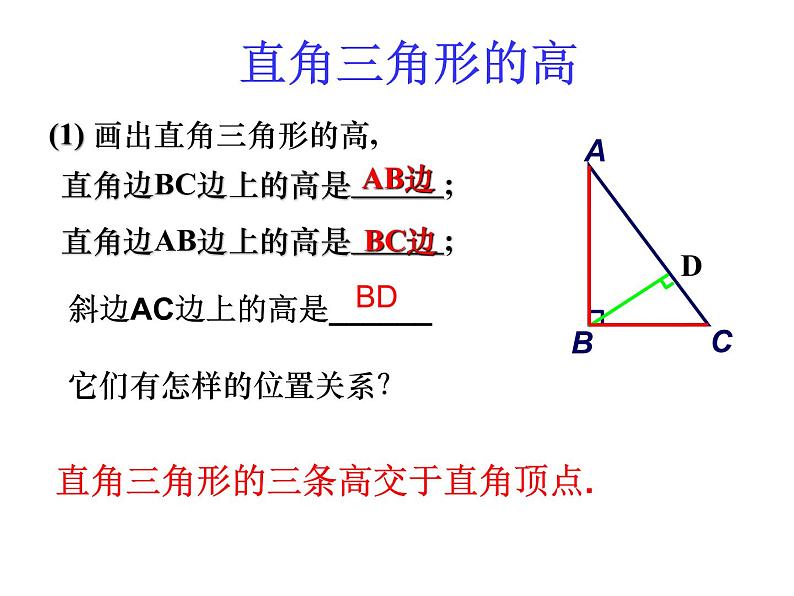 人教版八年级数学上册11.1.2三角形的高、中线、角平分线课件PPT06