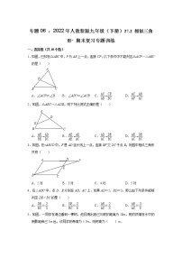 专题06 ：27.2 相似三角形- 期末复习专题训练   2021-2022学年人教版数学九年级下册