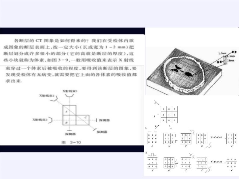 沪科版数学七年级上册 3.6 综合与实践 一次方程组与CT技术(3) 课件04