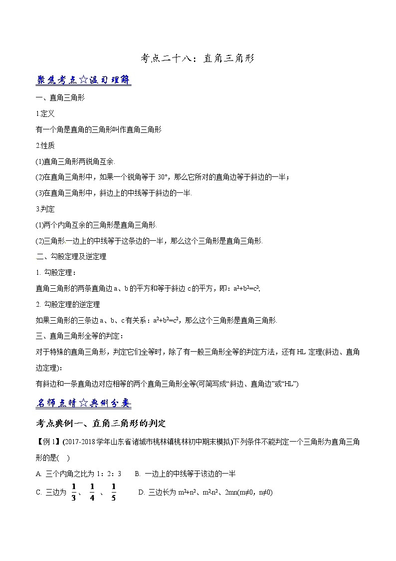 中考数学《一轮专题讲义》(41专题)第28讲 直角三角形(解析版)学案01