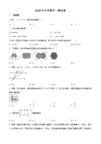 精品解析：2020年山东省泰安市岱岳区黄前中学中考数学一模试题（解析版+原卷版）