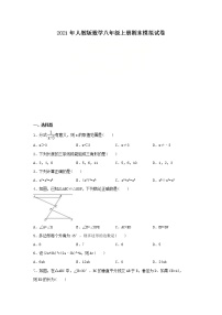 2021年人教版数学八年级上册期末模拟试卷三(含答案)