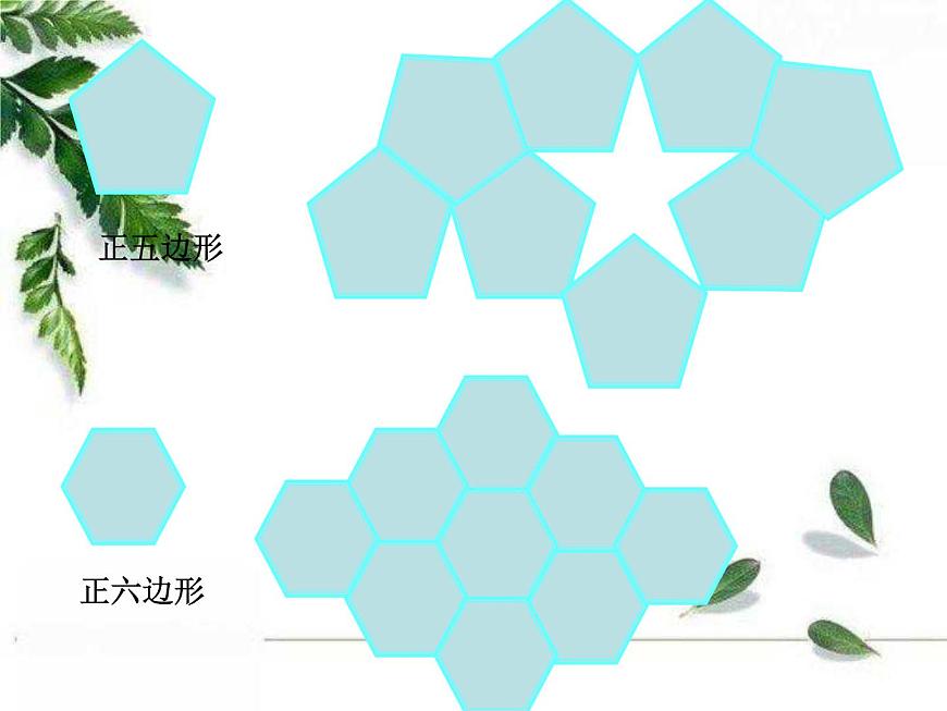 華師大版數(shù)學(xué)七年級(jí)下冊(cè)第九章 《用正多邊形鋪設(shè)地面》課件第6頁(yè)