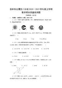吉林市龙潭区 2020--2021学年八年级上学期数学期末质量检测题 （word版 含答案）