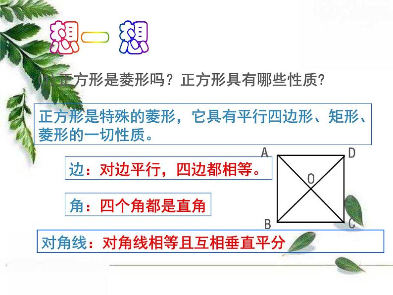华师大版八年级下册 19.3 正方形 同步课件第5页
