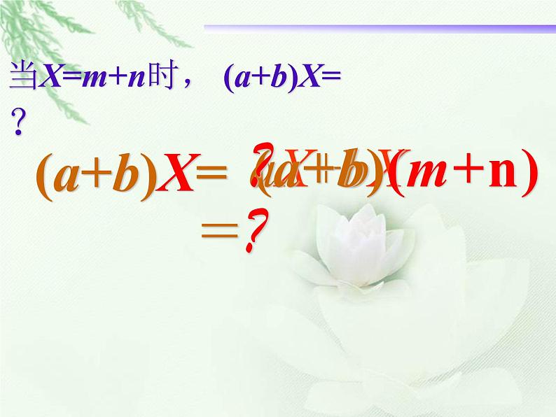 《多项式乘多项式》课件2第2页