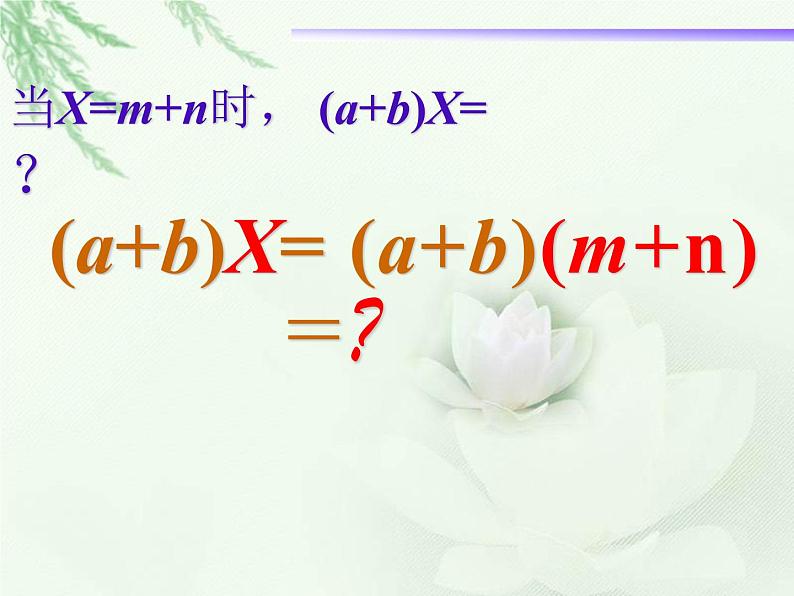 《多项式乘多项式》课件2第7页