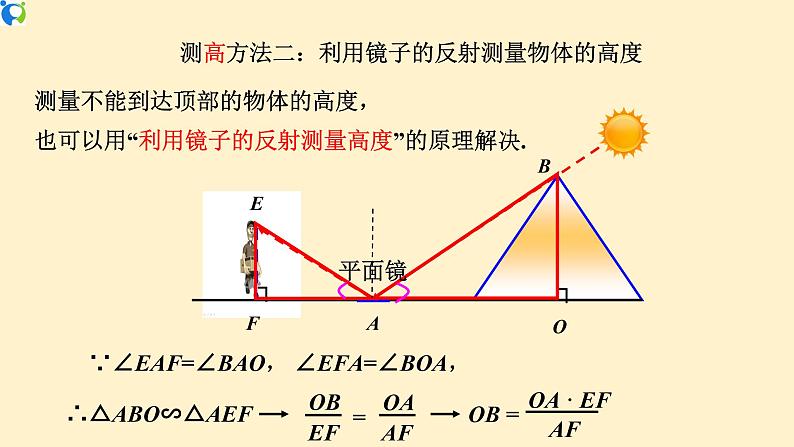 27.2.3(2)相似三角形的应用举例(影长、树高问题)-课件第4页
