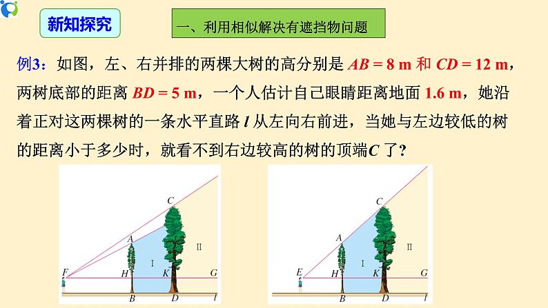 27.2.3(2)相似三角形的应用举例(影长、树高问题)-课件第6页