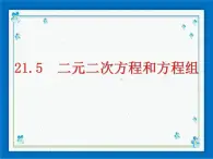 21.5 二元二次方程和方程组 课件（12张ppt）