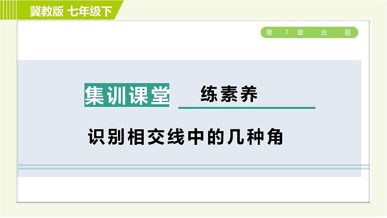 冀教版七年级下册数学 第7章 7.2 集训课堂 练素养 识别相交线中的几种角 习题课件01