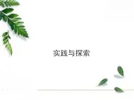 华东师大版数学七年级下册《实践与探索》同步课件