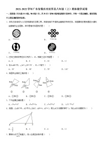 2021-2022学年广东省肇庆市封开县八年级（上）期末数学试卷   word，解析版