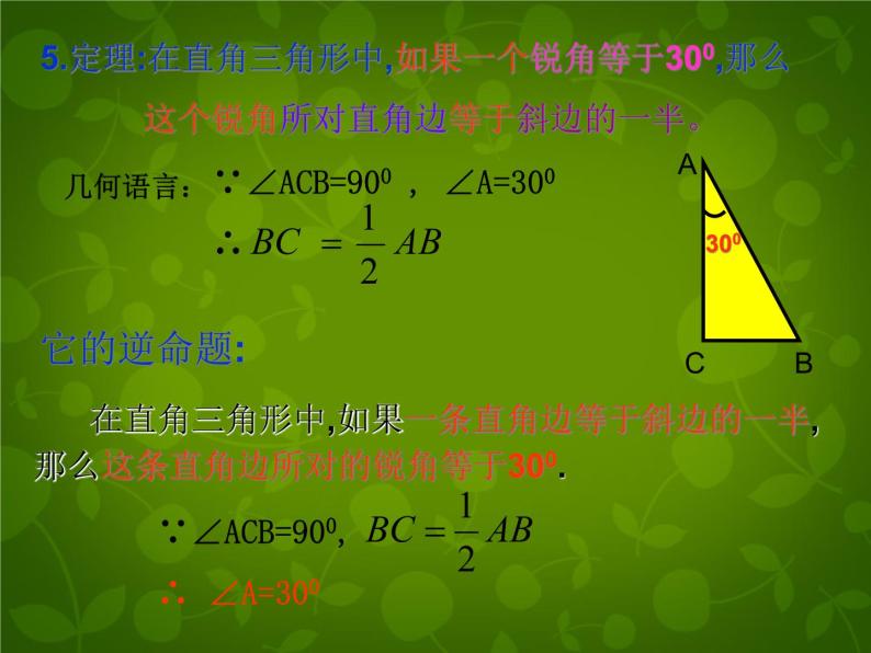 北师大初中数学八下《1.0第一章三角形的证明》PPT课件 (2)06