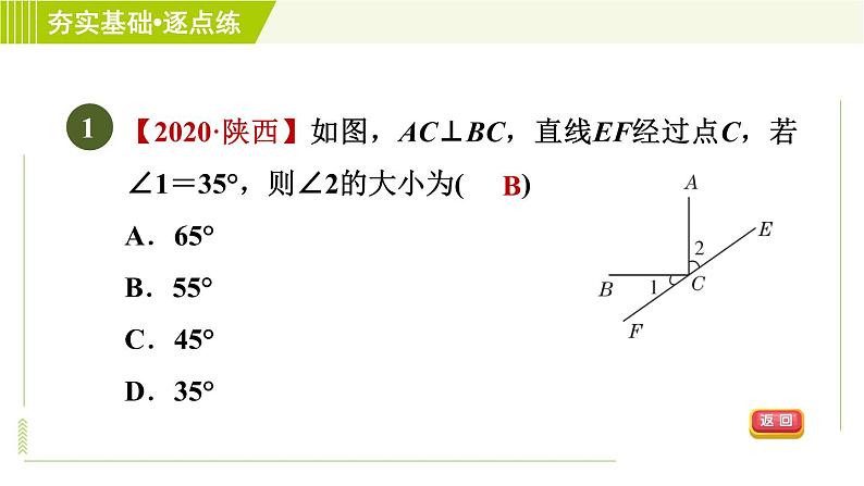 鲁教五四版六年级下册数学 第7章 7.1.2 垂线的概念与性质 习题课件04