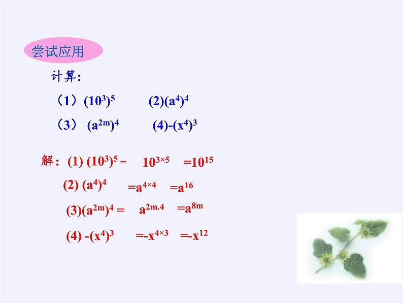 华东师大版数学八年级上册 12.1.2 幂的乘方(1)(课件)第7页