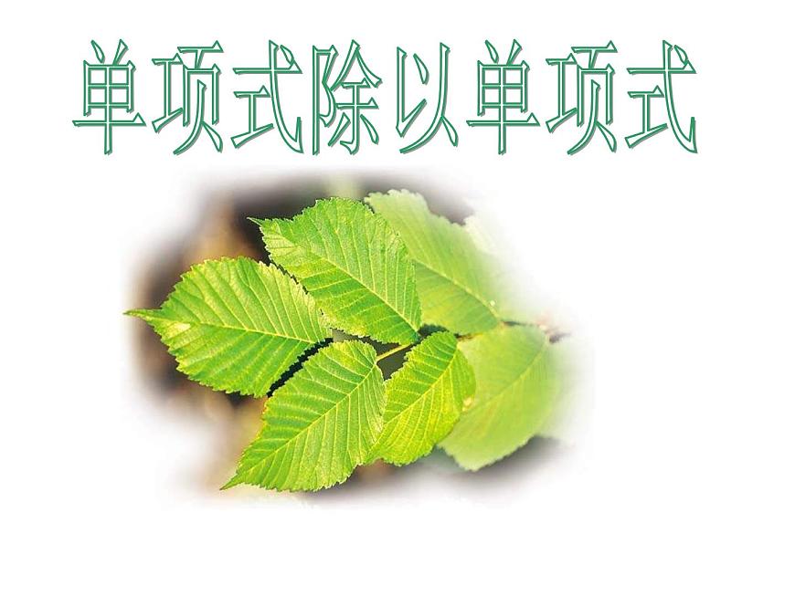 華東師大版數(shù)學八年級上冊 12.4.1 單項式除以單項式_(1)（課件）第1頁