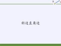 初中数学华师大版八年级上册6 斜边直角边教课内容课件ppt