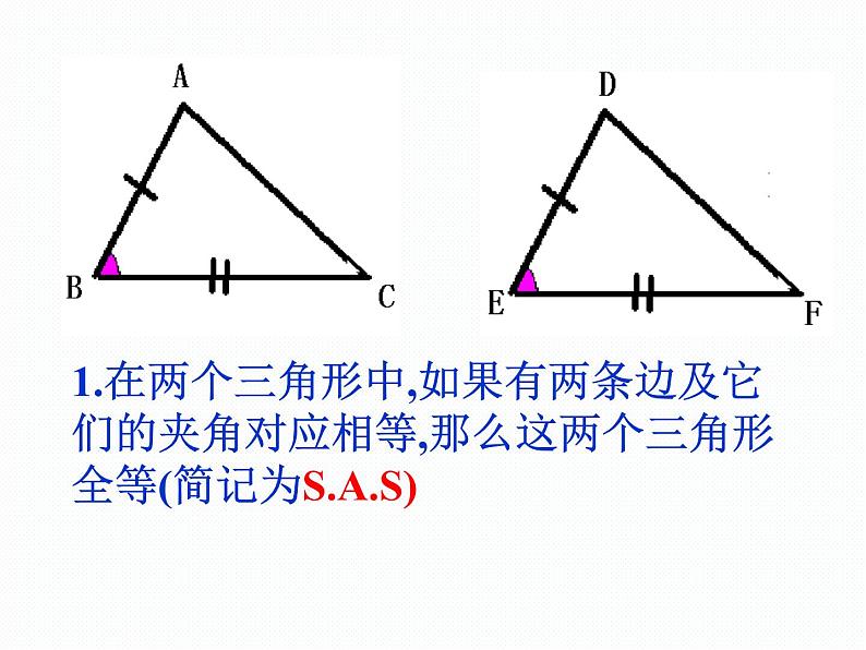 华东师大版数学八年级上册 13.2.6 斜边直角边_(1)(课件)03