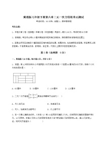 数学第六章   二元一次方程组综合与测试单元测试课时练习