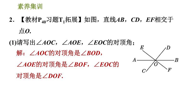 北师版七年级下册数学 第2章 素养集训 1.识别相交线中的几种角 习题课件第4页
