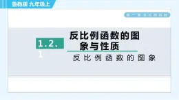 鲁教五四版九年级上册数学 第1章 1.2.1 反比例函数的图象 习题课件