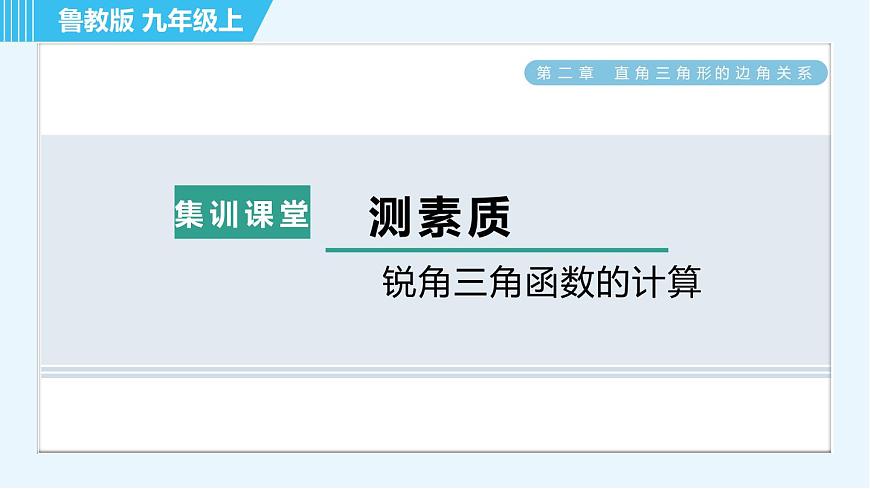魯教五四版九年級上冊數(shù)學(xué) 第2章 集訓(xùn)課堂 測素質(zhì) 銳角三角函數(shù)的計(jì)算 習(xí)題課件第1頁