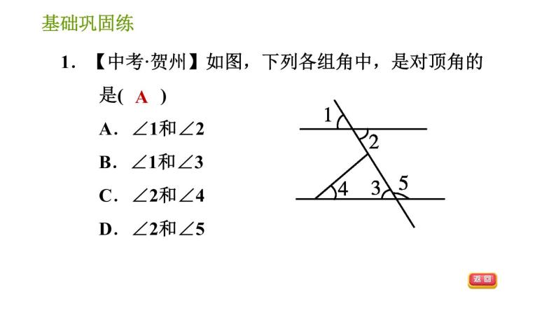 湘教版七年级下册数学 第4章 4.1.2 相交直线所成的角 习题课件05