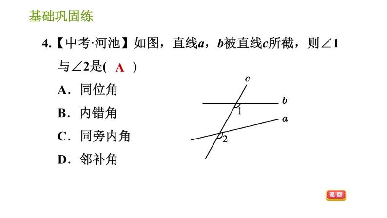 湘教版七年级下册数学 第4章 4.1.2 相交直线所成的角 习题课件08