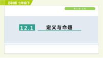 苏科版七年级下册12.1 定义与命题习题ppt课件