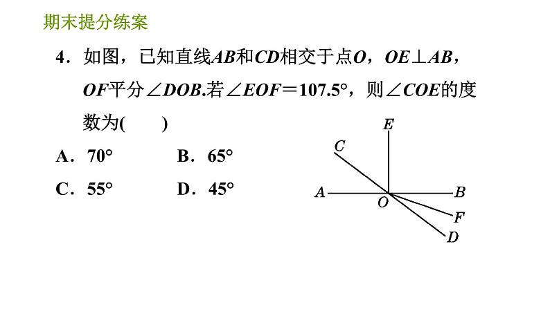 湘教版七年级下册数学 期末提分练案 第6课时 垂线段与点到直线的距离、两平行线间的距离 习题课件第6页